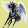 /album/kepeim/a100030126-miniature-2-jpg/